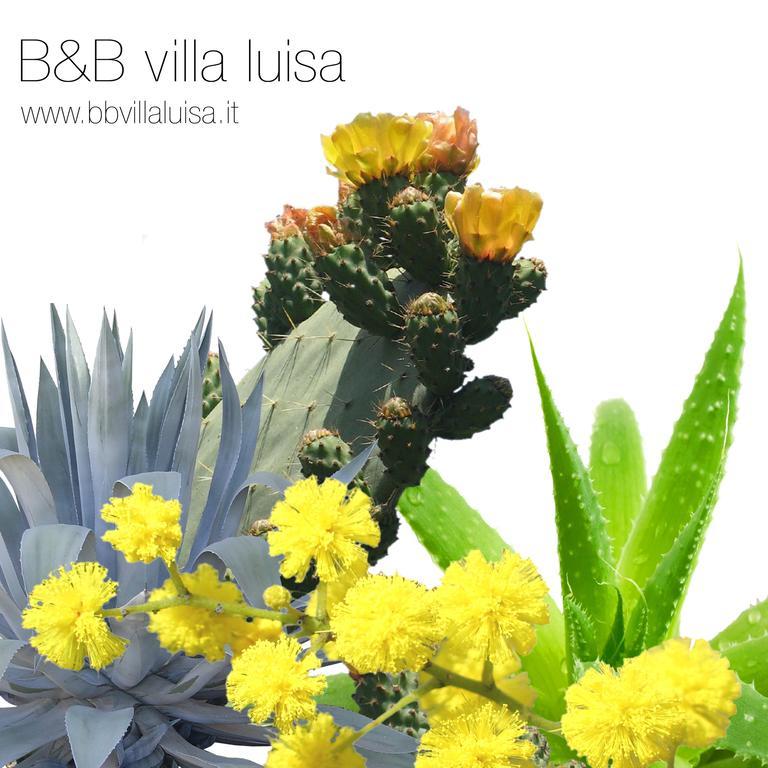 B&B Villa Luisa Casarza Ligure Dış mekan fotoğraf